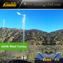 Китай генератор ветряк Кемпинг для системы солнечной энергии ветра (максимальная 600 Вт)